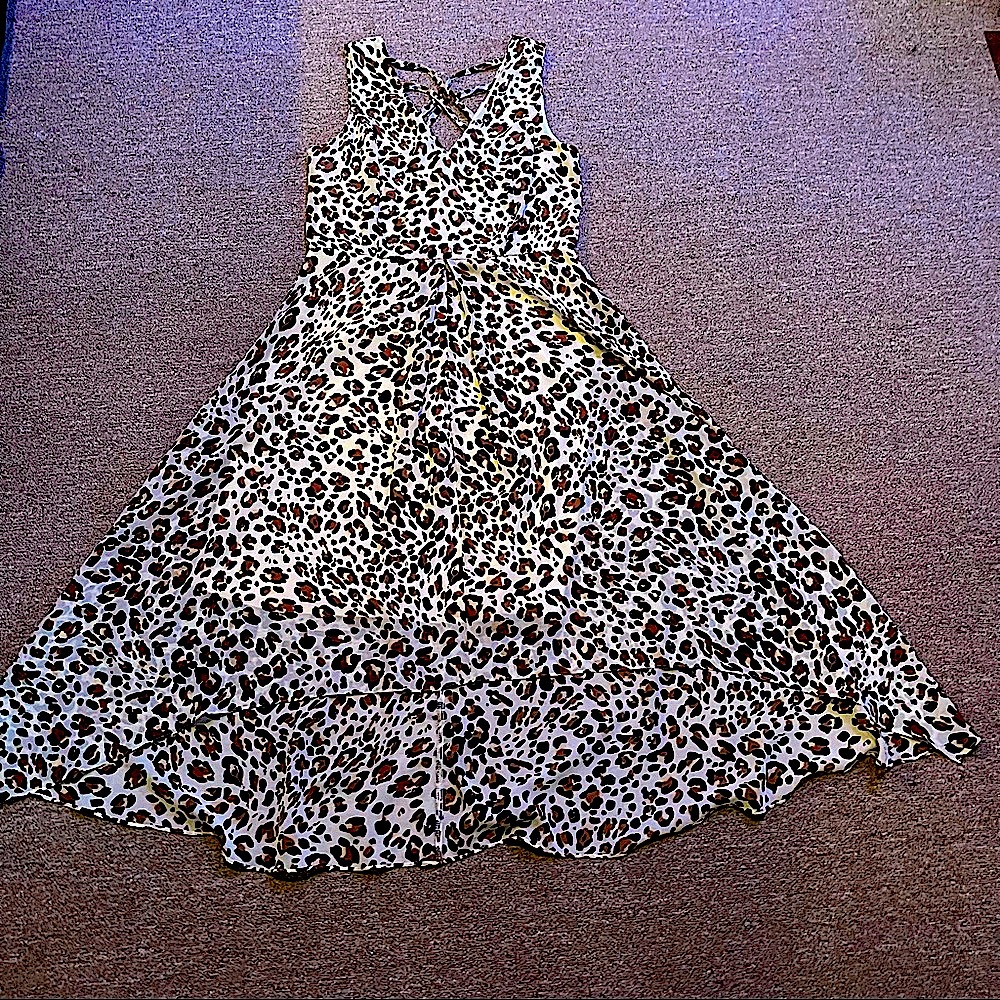 Leopard Print V-Neck Maxi Dress